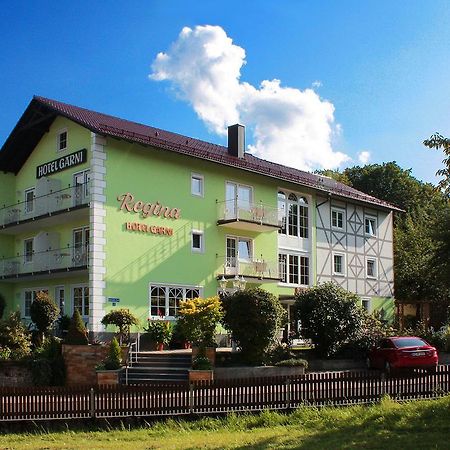 Hotel Garni Regina ゲスヴァインシュタイン エクステリア 写真
