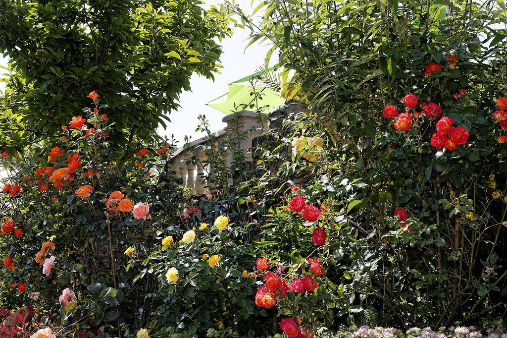 Hotel Garni Regina ゲスヴァインシュタイン エクステリア 写真